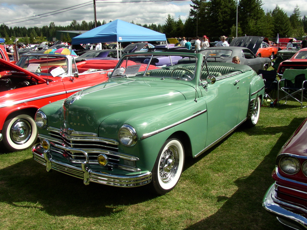 P1010023.JPG